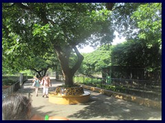 Parque Zoologico Nacional 02